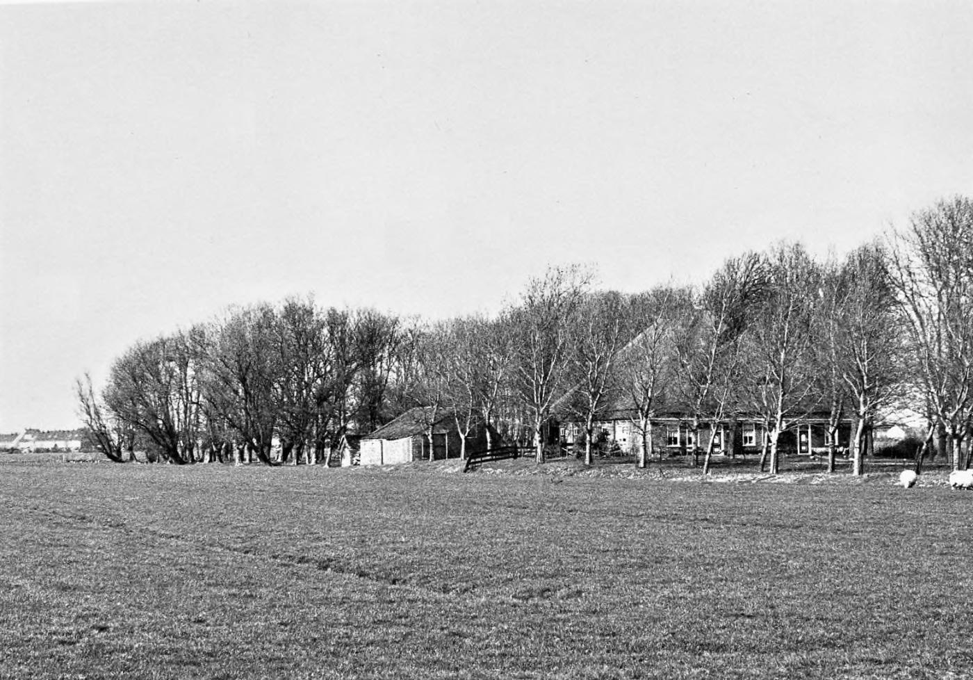 Historische foto van de stolpboerderij aan de Jan Glijnisweg achter de bomen op het erf